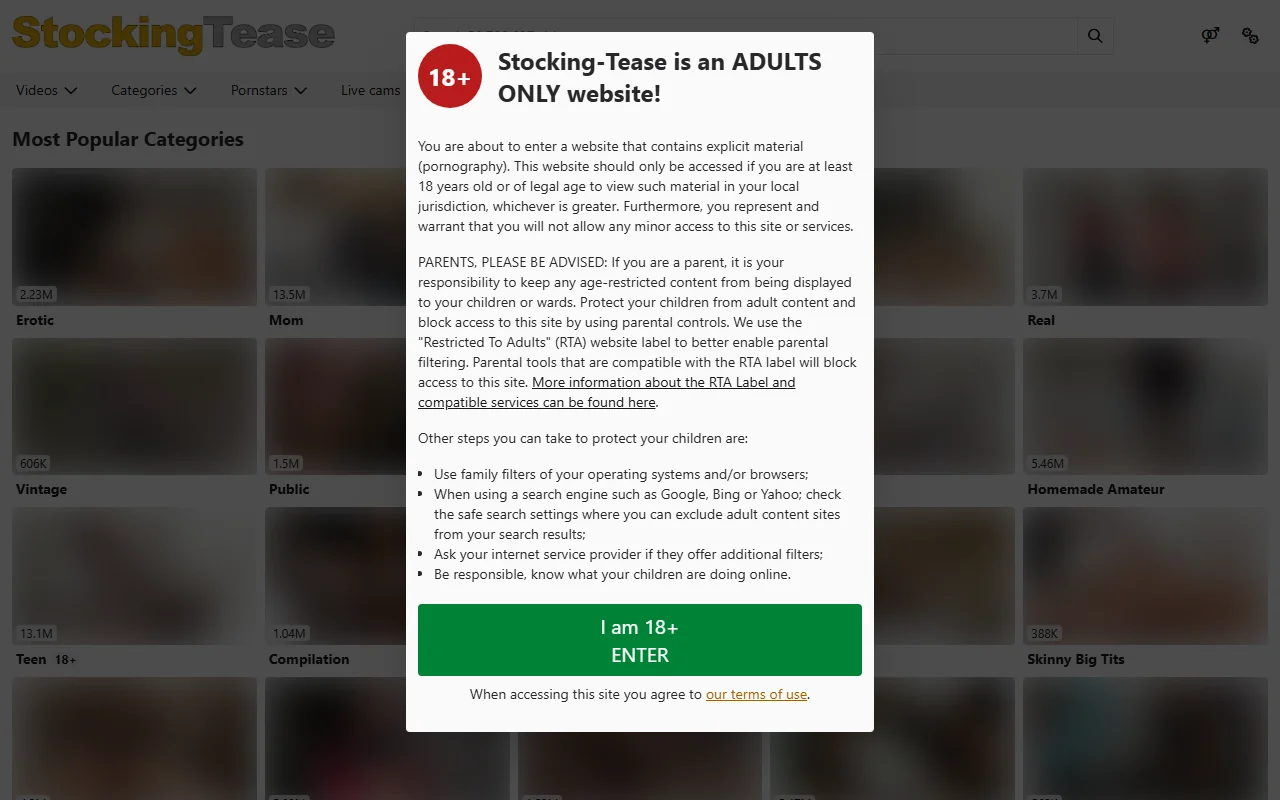 Screenshot: Stockingtease Screenshot of Stockingtease